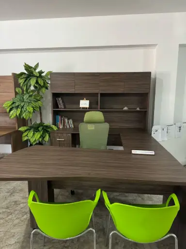 MODULO EJECUTIVO