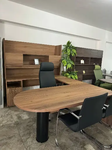 MODULO EJECUTIVO